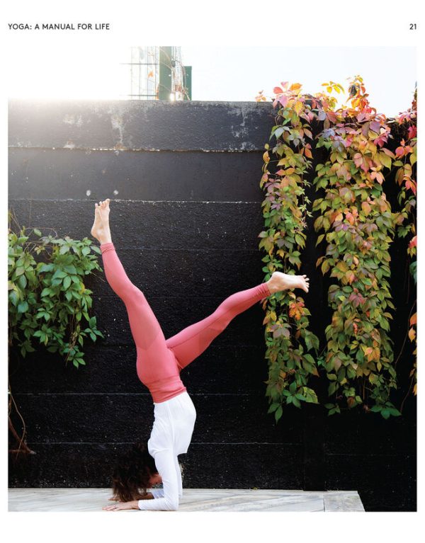 Monsoon Bookspeed Naomi Annand: Yoga A Manual For Life - Image 3