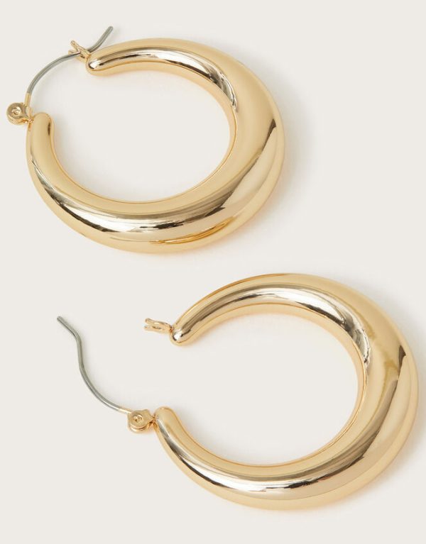 Monsoon Chunky Hoop Earrings - Image 3