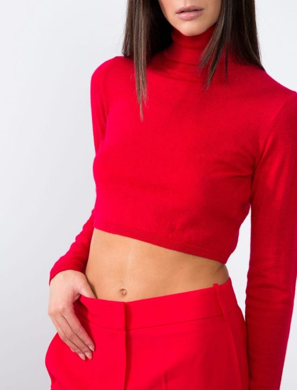 Bcbg KNITWEAR CROPPED TOP - Image 5