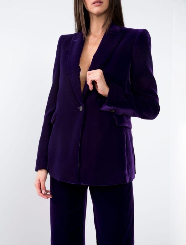 Bcbg VELVET TAILORING BLAZER - Image 5