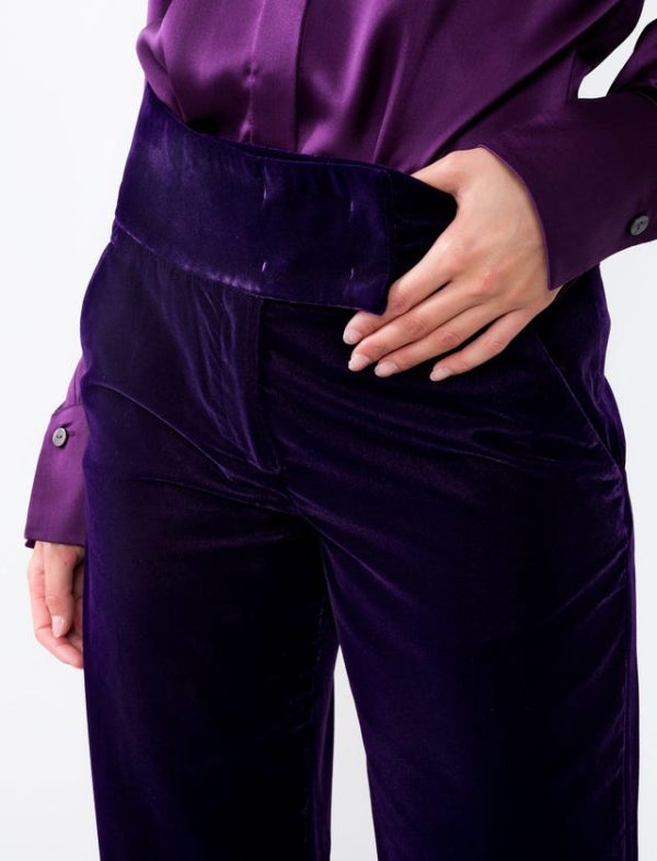 Bcbg VELVET TAILORING PANT - Image 5