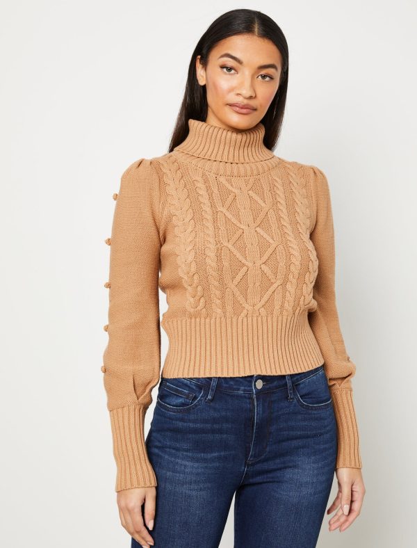 Bcbg Cable Knit Turtleneck Sweater