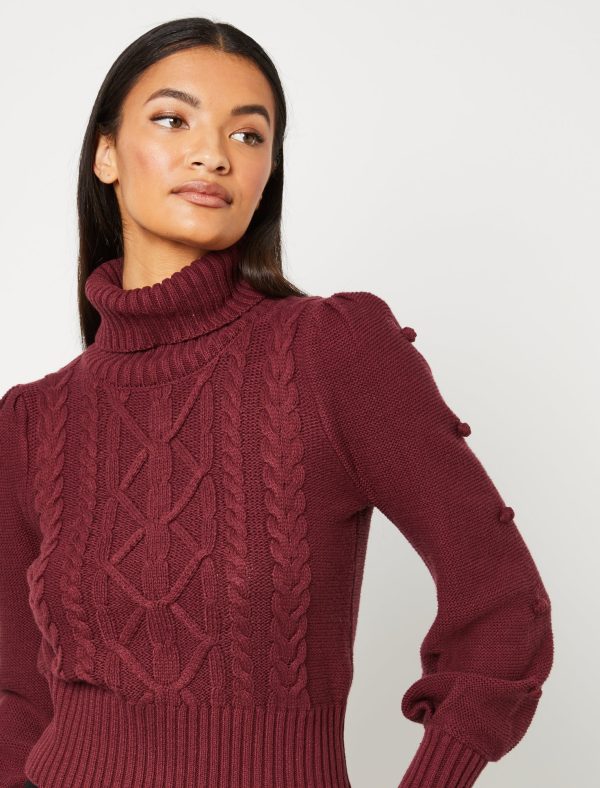 Bcbg Cable Knit Turtleneck Sweater - Image 18