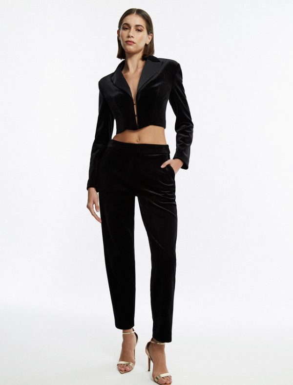 Bcbg Finn Velvet Tuxedo Trouser Black - Image 2