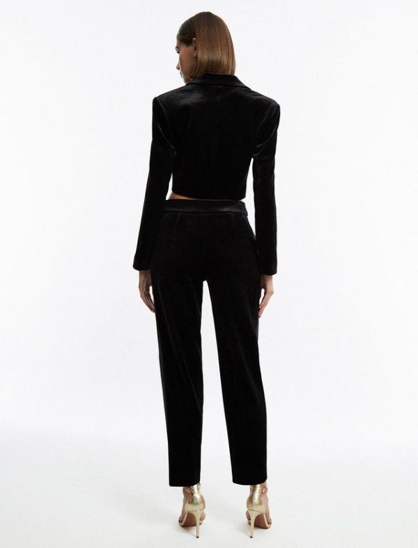 Bcbg Finn Velvet Tuxedo Trouser Black - Image 4