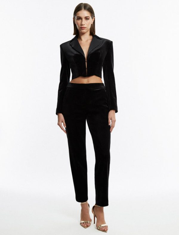 Bcbg Finn Velvet Tuxedo Trouser Black - Image 5