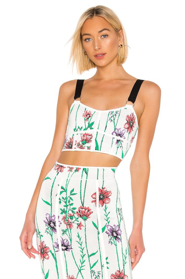 Bcbg Cropped Knit Top Gardenia Combo