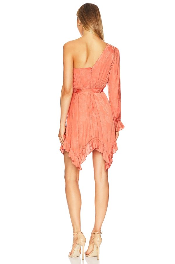 Bcbg Floral Jacquard Short Evening Dress Ginger Spice - Image 2