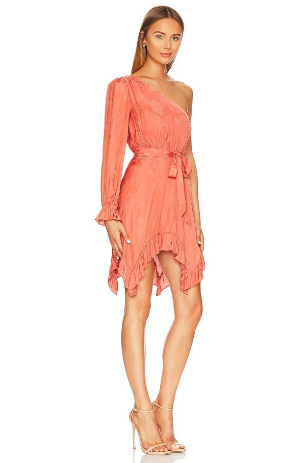 Bcbg Floral Jacquard Short Evening Dress Ginger Spice - Image 3