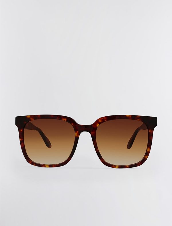 Bcbg Classic Square Sunglasses Tort - Image 2