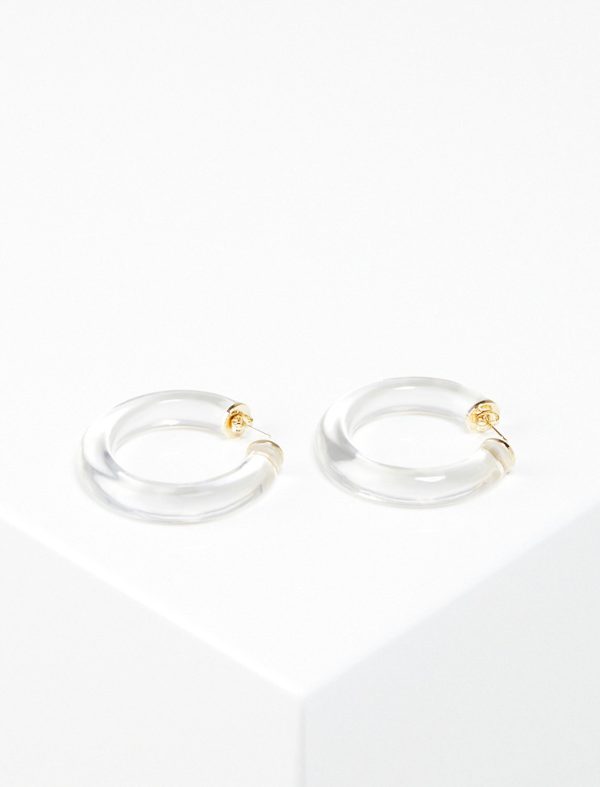 Bcbg Chunky Acrylic Hoop Earrings