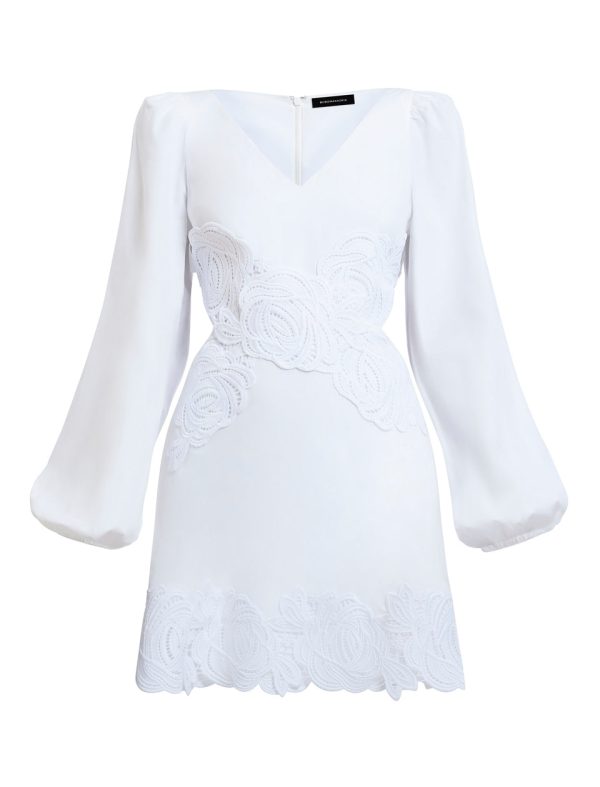 Bcbg Rosa Lace Applique Mini Dress - Image 7