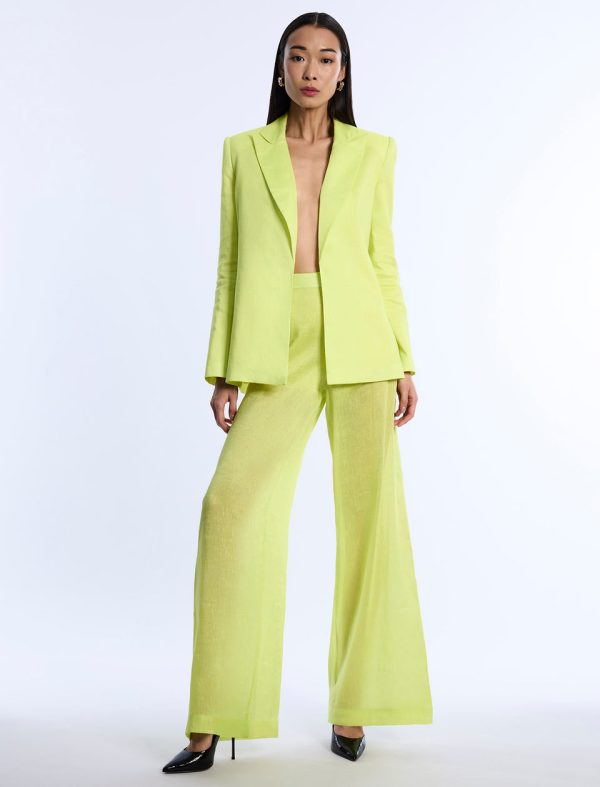 Bcbg Airy Sheer Textured Pant