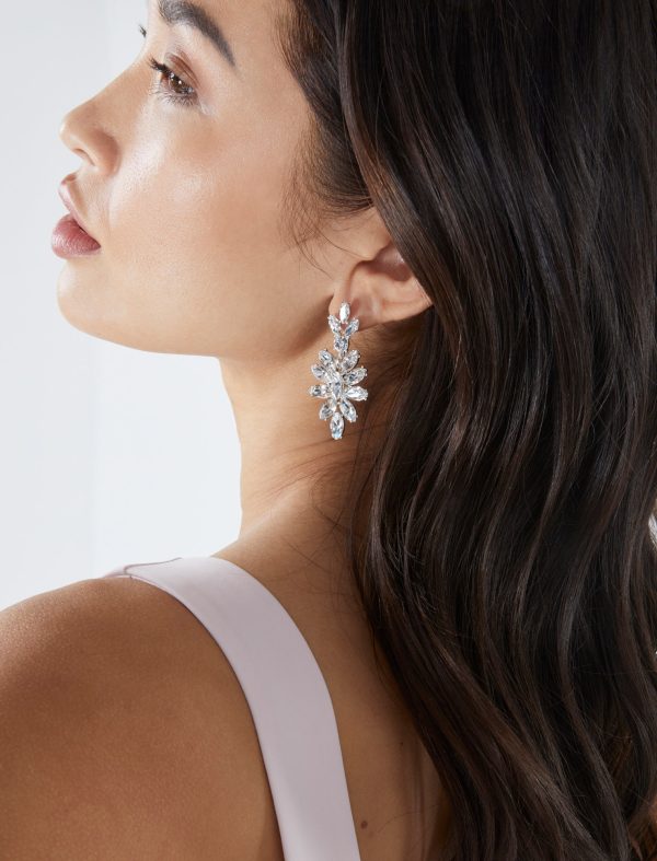 Bcbg Crystal Drop Earrings